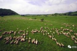 赤峰櫻桃園采摘基地電話號(hào)碼