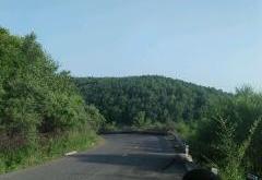 赤峰羊場拼車電話號碼多少