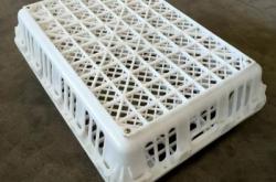 赤峰收購螞蝗廠家電話是多少號