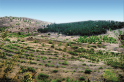 赤峰青木里店電話號(hào)碼多少號(hào)