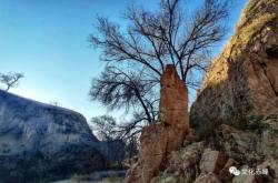 赤峰勝沃洗車店電話號碼查詢