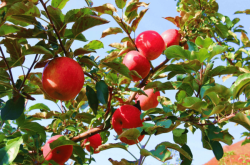 赤峰寧城縣莎莎舞廳電話號(hào)碼