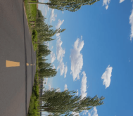 赤峰雅迪松山區(qū)售后電話號碼