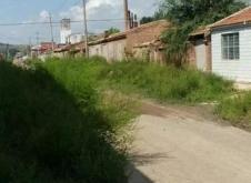 赤峰平莊農(nóng)貿(mào)市場