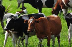 赤峰尊邁汽車服務(wù)中心電話號碼