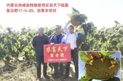 赤峰種子化肥行業(yè)協(xié)會電話號碼