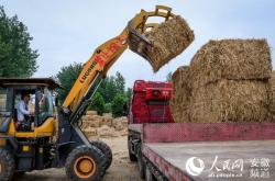 赤峰稻草糧倉廠家電話號碼查詢