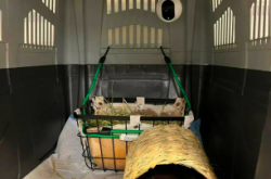 赤峰寵物航空箱廠(chǎng)家電話(huà)號(hào)碼