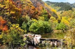 赤峰紅羽羽毛球館電話號碼