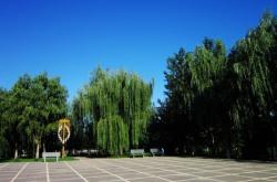 赤峰新城區(qū)靜云街道電話號(hào)碼