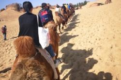 赤峰赤朝物流電話號(hào)碼查詢