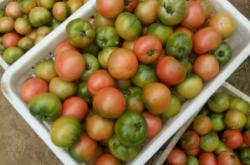 赤峰市水果代賣電話地址查詢