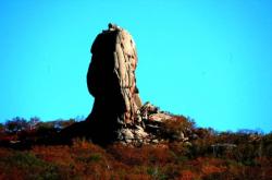 赤峰市奇森臺球館電話號碼