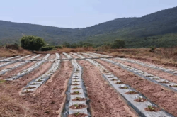 赤峰太平地鎮(zhèn)土地局電話號碼