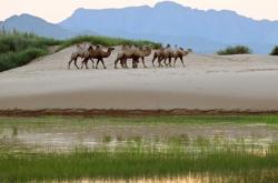 赤峰川達(dá)奇瑞店電話號(hào)碼查詢