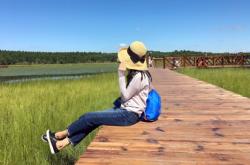 赤峰采緹森林酒店電話多少號(hào)