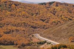 赤峰阿剛美發(fā)電話多少號(hào)