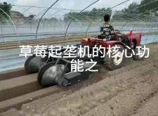 赤峰大蔥起壟機(jī)廠家電話號(hào)碼