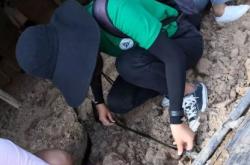 赤峰小白鼠養(yǎng)殖基地電話號碼