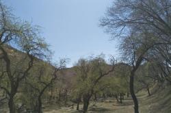 赤峰永星制衣廠地址電話號(hào)碼