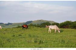 赤峰市最近的草原