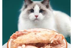 赤峰寵物博覽會(huì)官網(wǎng)電話號(hào)碼