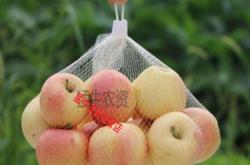 赤峰雞蛋網(wǎng)袋批發(fā)市場(chǎng)電話號(hào)碼