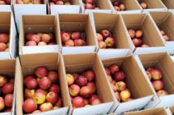 赤峰寧城日化品廠電話多少號