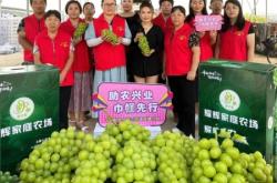 赤峰寵物店直播基地電話號碼