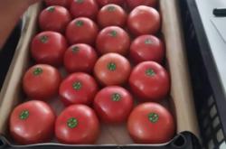 赤峰油炒面批發(fā)電話號(hào)碼查詢