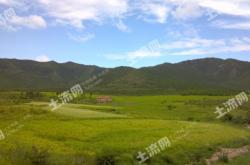 赤峰收購林地電話號碼查詢是多少