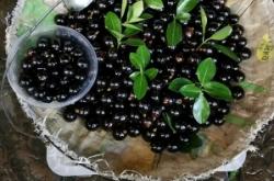 赤峰市酒鬼酒廠地址電話號(hào)碼