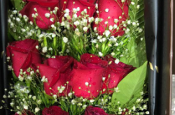 赤峰雨欣鮮花店電話地址查詢