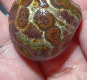 赤峰賣石蠟油的電話地址是多少