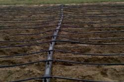 赤峰滴灌帶廠家電話(huà)號(hào)碼查詢(xún)