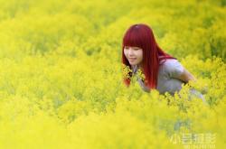 赤峰新東方攝影基地電話號碼