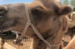 赤峰奇哥理發(fā)店地址電話號碼