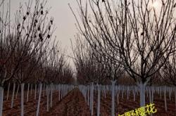 赤峰暖氣罩批發(fā)廠家電話號碼