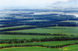 赤峰林業(yè)咨詢電話號碼是多少