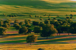 赤峰林西游樂園電話號碼