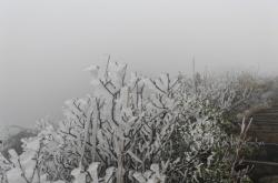 赤峰市春雪掛面廠電話號(hào)碼