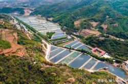 赤峰市抗浪魚店電話號碼