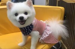 赤峰萌寵基地電話地址查詢號(hào)碼