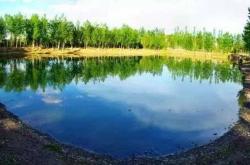 赤峰市免費(fèi)野釣魚地點(diǎn)電話號(hào)碼