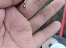 赤峰擺地攤賣魚電話號碼是多少