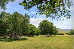 赤峰市射箭學(xué)校官網(wǎng)電話號(hào)碼