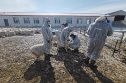 赤峰市勞動保障局電話號碼