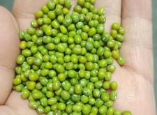 赤峰綠豆產(chǎn)業(yè)園電話號(hào)碼查詢