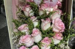 赤峰御瀾庭花藝館電話號(hào)碼