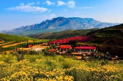 赤峰深水井降水廠家電話是多少